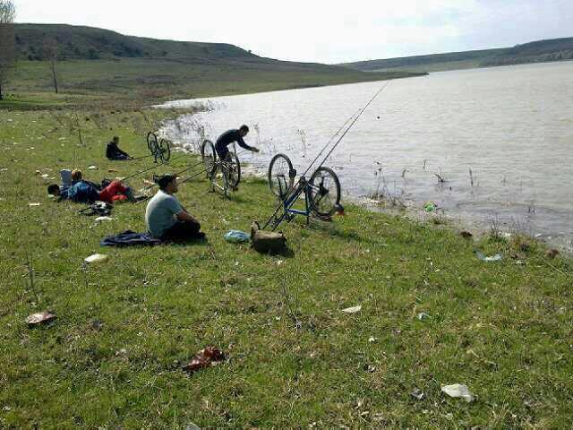 diverse adunate 2 - 9411534810024819831271916598945n.jpg